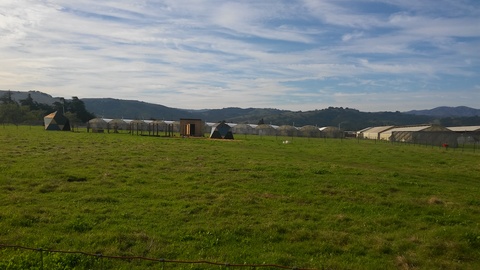 5 bedrooms share on 15 acres