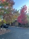 Entire Place 3Bed.1.5Bath