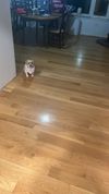 Entire Place 3Bed.1Bath