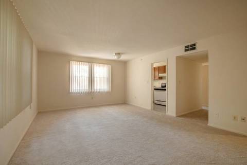 Looking for a female roommate