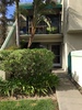 Northridge townhouse, walk to CSUN