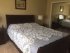 Room for rent in Saratoga