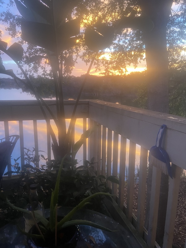 roommates in Altamonte Springs Private Room in 1Bed.1Bath - cirtru.com
