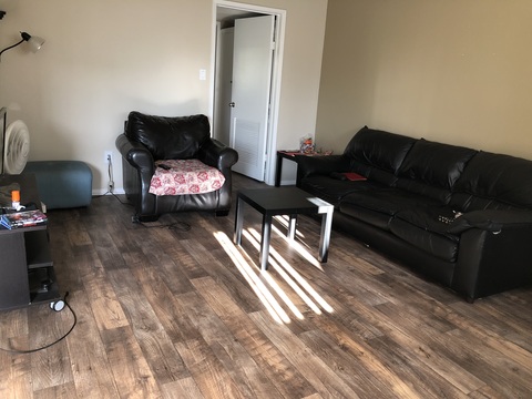 friendly roommate in studio city