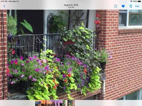 Entire Place 1Bed.1Bath