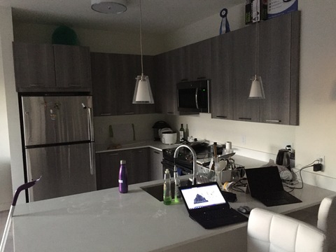 Luxury property 10 min from Boston