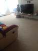 Private Room in 2Bed.1Bath