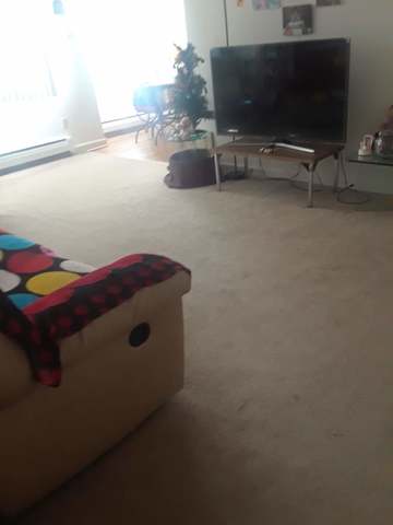 Private Room in 2Bed.1Bath