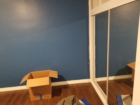 Looking for a roommate