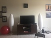 Looking for professional or student
