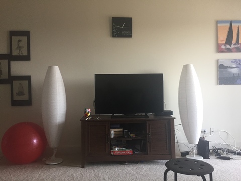 Looking for professional or student