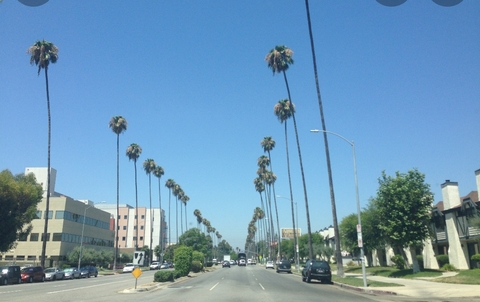NORTH VALLEY ( SFV Los Angeles Co)
