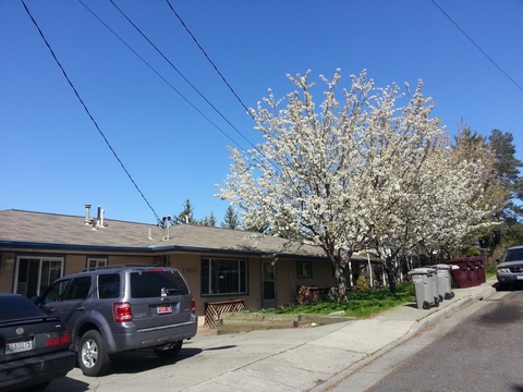 Entire Place 3Bed.2Bath