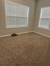 Private Room in 2Bed.1Bath