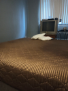 Shared Room in 1Bed.1Bath