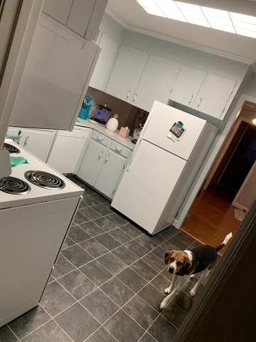 Private Room in 3Bed.2Bath