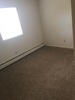 Roommate Needed