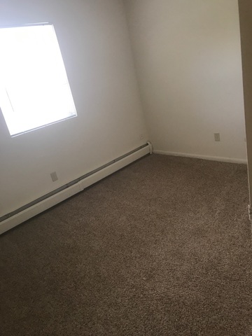 Roommate Needed