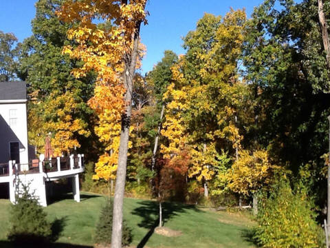 1 or 2 Bdrm Available Flanders NJ!!