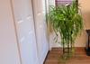 Private Room in 4Bed.2Bath