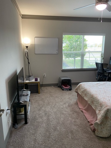 roommates in Frisco Private Room in 3Bed.2Bath - cirtru.com