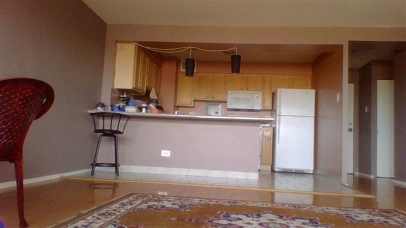 Female roommate needed
