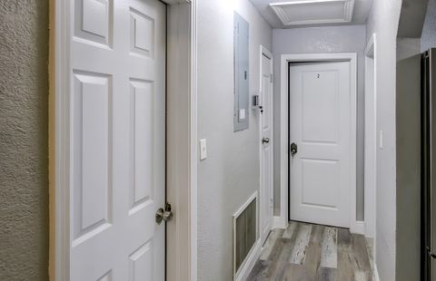 roommates in Undisclosed, Tampa, FL 33612 Beautiful Modern Tampa Home (id. 2452) - cirtru.com