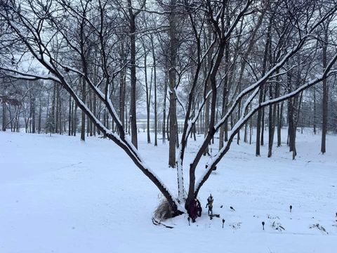 Entire Place 2Bed.1Bath