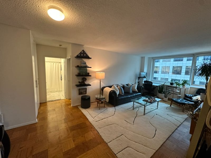 roommates in New York City Entire Place 1Bed.1Bath - cirtru.com
