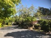 Rooms available in beautiful house
