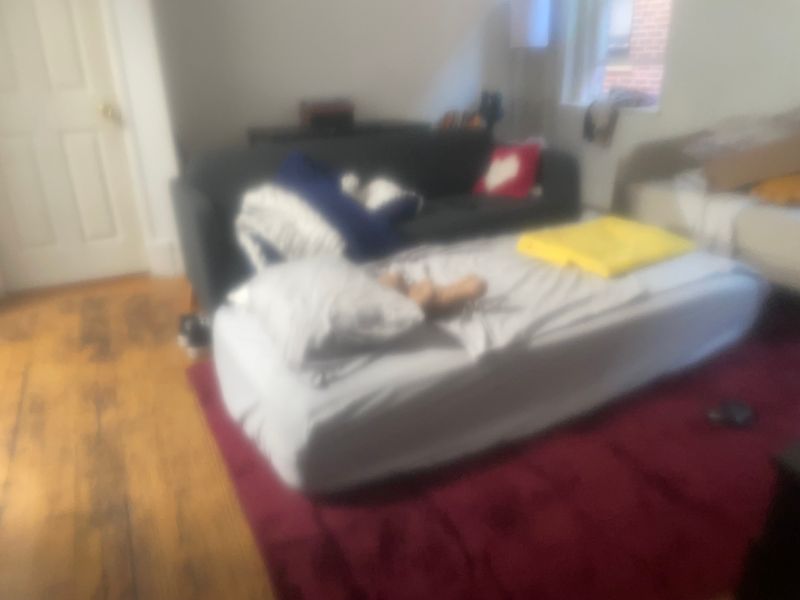 roommates in Boston Entire Place 3Bed.1Bath - cirtru.com