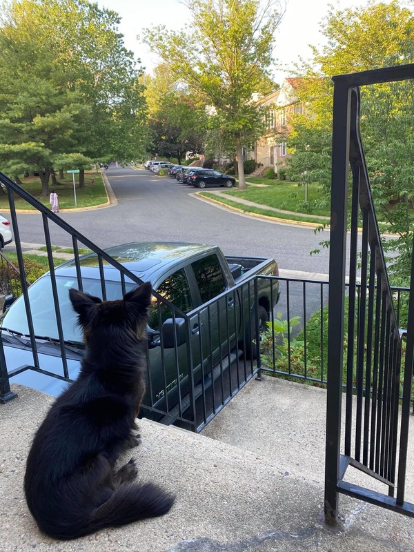roommates in West Springfield Private Room in 4Bed.4Bath - cirtru.com