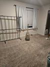 Private Room in 5Bed.2Bath