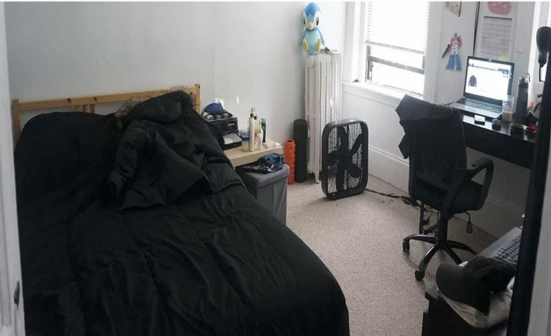 roommates in Boston Shared Room in 2Bed.1Bath - cirtru.com