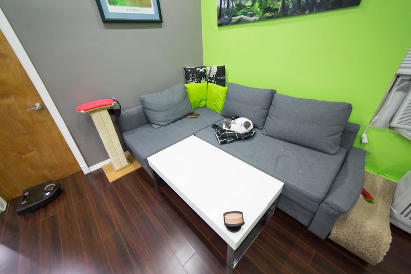 Looking for Individual for Roommate