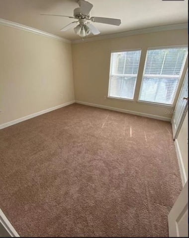 roommates in Tampa Private Room in 2Bed.2Bath - cirtru.com