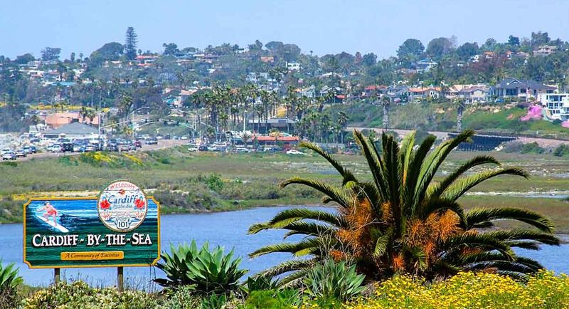 roommates in Cardiff by the Sea Private Room in 2Bed.2Bath - cirtru.com