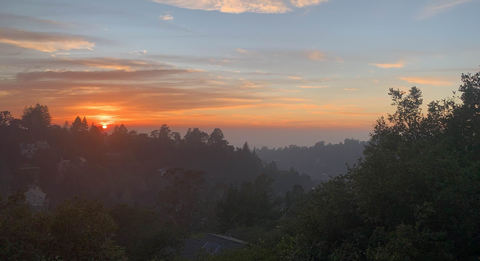 roommates in Oakland Private Room in 4Bed.4Bath - cirtru.com