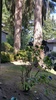 Entire Place 2Bed.1Bath