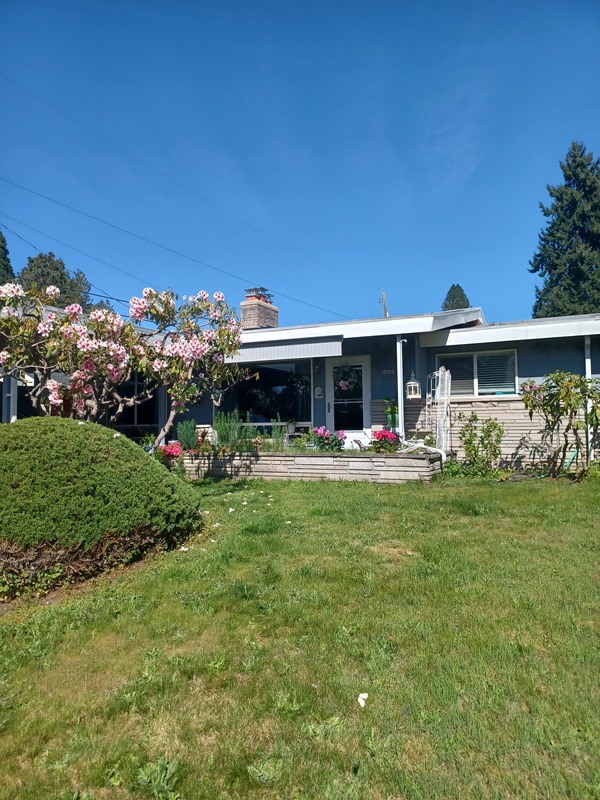 roommates in Seattle Private Room in 3Bed.1Bath - cirtru.com