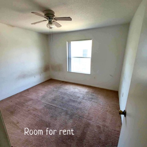 roommates in Orlando Private Room in 3Bed.2Bath - cirtru.com