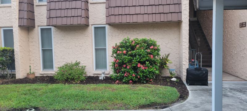 roommates in Seminole Entire Place 1Bed.1Bath - cirtru.com