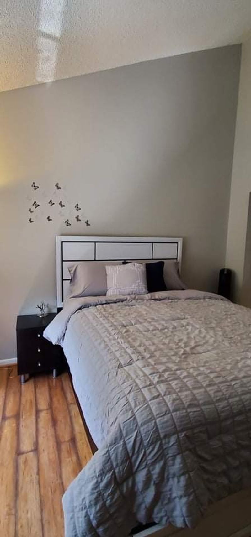 roommates in North Lauderdale Private Room in 2Bed.1.5Bath - cirtru.com