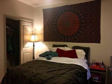 roommates in Fort Collins Room Available Dec. 2017, Close To - cirtru.com
