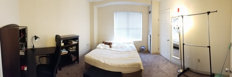 Female roommate needed