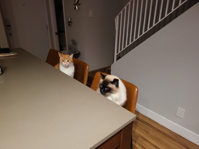 roommates in Mountain View Private Room in 3Bed.3Bath - cirtru.com