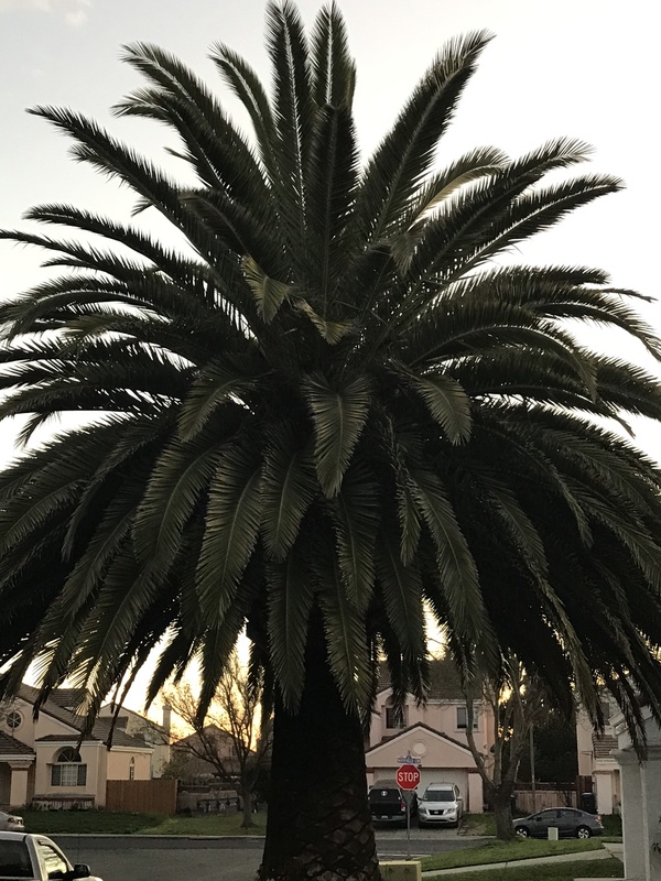 roommates in Suisun City Private Room in 4Bed.2Bath - cirtru.com
