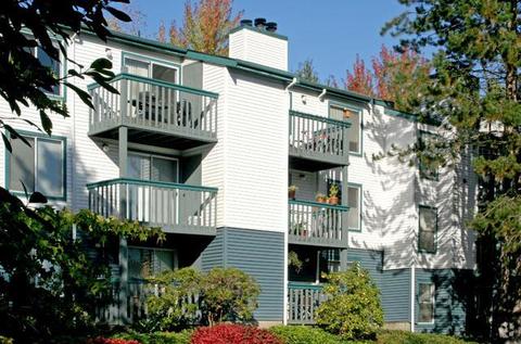 roommates in Bothell Paying Guest Accomodation Available - cirtru.com