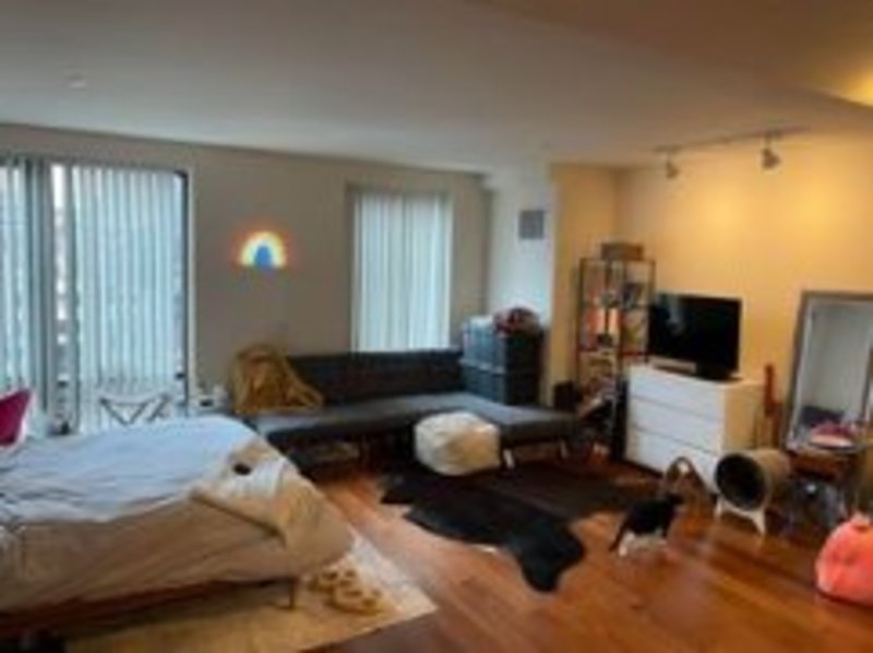 roommates in Boston Entire Place 1Bed.1Bath - cirtru.com