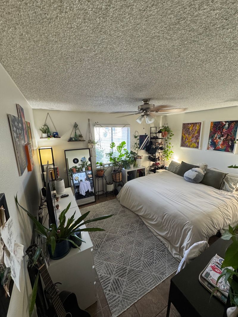 roommates in Tempe Private Room in 2Bed.1Bath - cirtru.com
